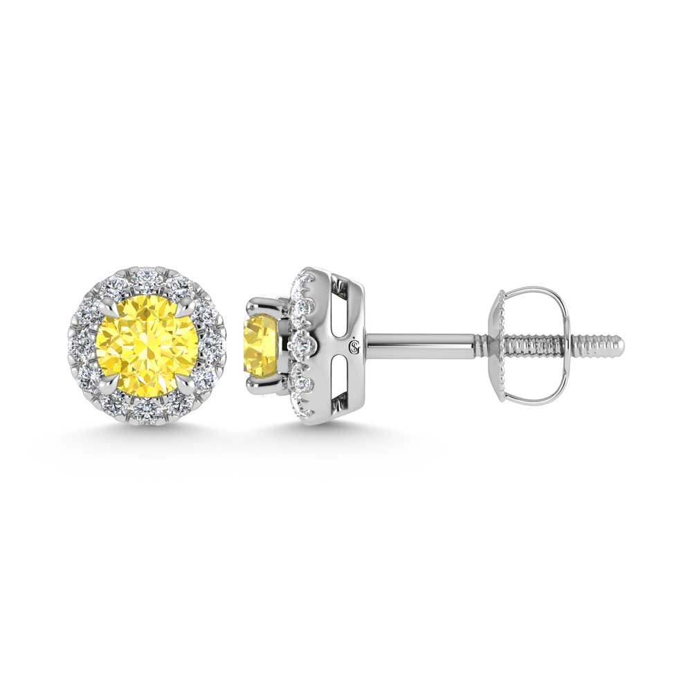 14K White Gold  3/4 Ct.Tw. White and Yellow Lab Grown Diamond Stud Earrings